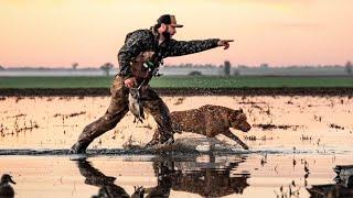 40 Bird Muddy Duck Hunt with My Dog Fred!!