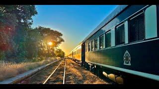 Driven Guineafowl & Francolin shooting with the legendary Rovos Rail Train 2024