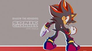 Shadow The Hedgehog Game • Punk tactics [Edit]