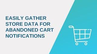 How to easily gather store data for abandoned cart notifications?