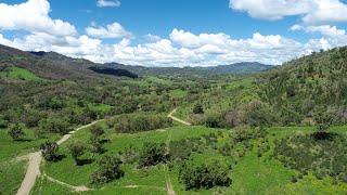 Peel Valley Real Estate Tamworth Rural Property For Sale - 4127 Halls Creek Road, HALLS CREEK NSW