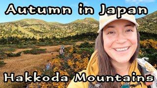 Hiking in Japan’s Fall Colors: Hakkōda Mountains Solo Backpacking, Sukayu Campsite & Onsen