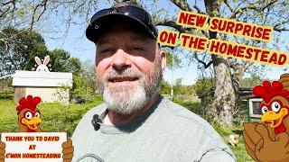 New Surprise On The Homestead | Thank You David At C'mon Homesteading