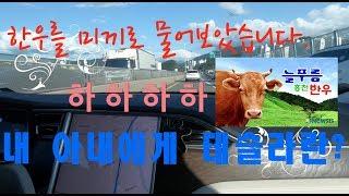 [노이비TV]테슬라가, 모델S가 어떠냐고요? 아내에게 물어보았습니다!