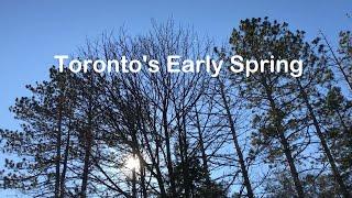 Toronto's Early Spring | Channel - Creative Ideas and John