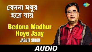 Bedona Madhur Hoye Jaay | Bangla Ganey Parampara | Jagjit Singh | Audio