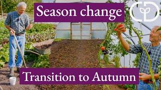 First frosts are approaching | Here are ideas  for being ready || Charles Dowding