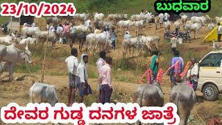 ಬುಧವಾರ ದೇವರ ಗುಡ್ಡ ದನಗಳ ಜಾತ್ರೆಗೆ ಸ್ವಾಗತ || Well come To Devaragudda Cattle Fair ||#Cattle fair