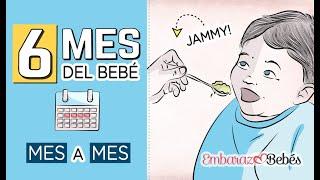  SEXTO MES del bebé | 6 MES | Desarrollo y cuidados