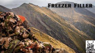 Wild Game Hunting to Fill the Freezer | 5 Day Wilderness Deer Hunt in the Southern Alps of NZ