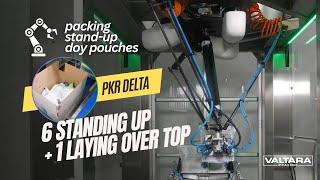 PKR Delta Robot Packing Stand Up Doy Style Pouches Into Cases