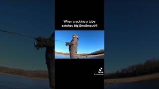 Cracking a tube for BIG Smallmouth!