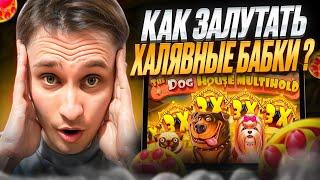  20к за СПИН - ЛЮТЕЙШИЙ ЗАНОС в DOG HOUSE, СОБАКИ ЗАНОСЯТ | Dog House Megaways | The Dog House