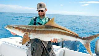 Topwater Fishing for Huge Cobia on Commercial Shrimp Boats