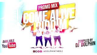 COME ALIVE RIDDIM PROMO MIX - DJ DOLPHIN