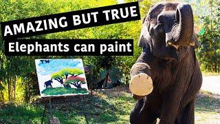 Paintings Made By Elephants in Thailand