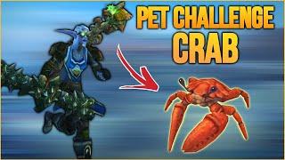 Crab pet PvP action  - Marksmanship Hunter WotLK Classic PvP 2023