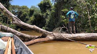 ️ E AGORA?? TIVE QUE MUDAR OS PLANOS, MAIS UM ESPETÁCULO DA NATUREZA QUE ACAMPAMENTO TOP 