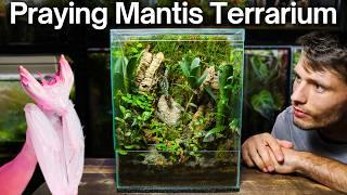 I Made a Terrarium For a STUNNING Praying Mantis, Here’s How!