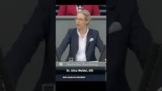 Der Bundestag bebt! | Alice Weidel