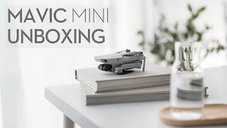 Mavic Mini: Unboxing