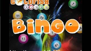 Exclusive bingo offers | Play online bingo now | Free Bingo