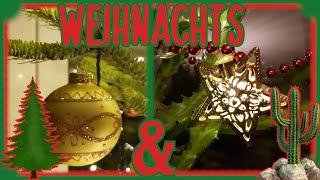 Weihnachtsbaum & Weihnachtskaktus 2024