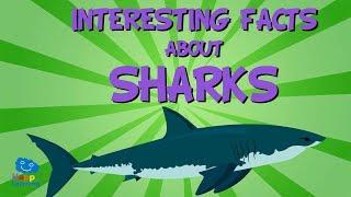 Interesting facts about Sharks | Educational Video for Kids.