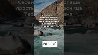 #господь #бог #истина #любовь #ривкаткаченко #вера #иисус #жизнь #библиясегодня