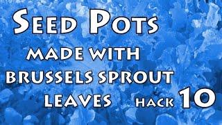Vegetable Garden Hack #10 - Free Seed Pots made with Brussels Sprout leaves