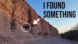 I Found 10 DIFFERENT Bat Species on my Desert Ranch
