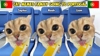 Cat MEMES Family going to Portugal