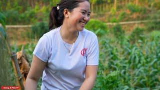 The single mom's field is overgrown with weeds, untended, and lacking water