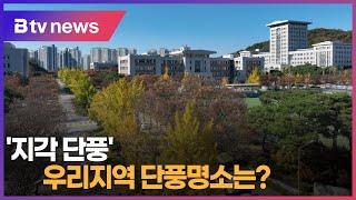 '지각 단풍'...우리지역 단풍명소는?(천안)