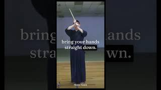 #Kendo Kata Quick Tip: #Hasso The Key Points