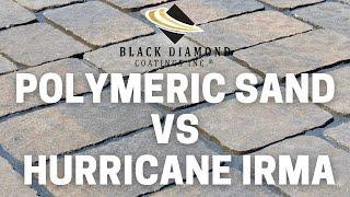 DOMINATOR Polymeric Sand Stands Firm in the Face of Hurricane Irma