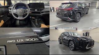 2025 Lexus UX300h Button Tutorial ( Time Stamps in Video Description )