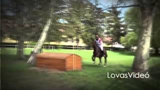 Lovas Videó