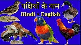 Birds Name in Hindi & English || Pakchhiyo k Nam Alphabetical order me || A to Z Birds || Jaguar TV