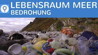 Bedrohung & Zerstörung des Lebensraums Meer - Klimawandel, Plastikmüll, Abwasser, Tourismus