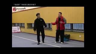 陈氏太极拳 推手 陈相林 陈家沟 旋风虎 Chen Taichi Pushhand TuiShou Chen XiangLin ChenJiaGou