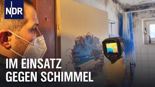 Schimmel im Haus: Gefahr in den eigenen vier Wänden | Die Nordreportage | NDR Doku