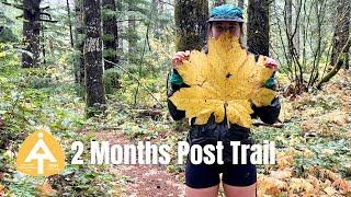 2 Months Post Trail and Ziggy Update | Appalachian Trail 2024