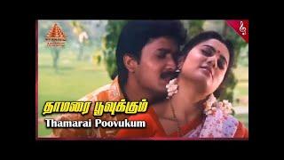 Thamarai Poovukkum - Pasumpon; தாமரைப் பூவுக்கும்; #leo #tamilhitsongs #love #pasumpon #vidyasagar