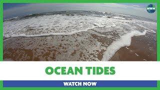 Ocean Tides | Flood and Ebb of ocean waters!