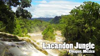 Mexico : Lacandon Jungle with Ecochiapas/Explora (Chiapas)