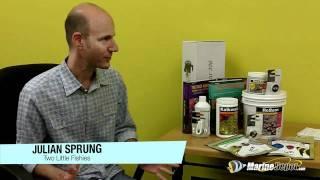 Julian Spung Q&A: Coral Dipping