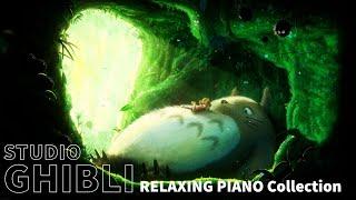 My Neighbor Totoro OST  Childhood Nostalgia with Studio Ghibli RELAXING PIANO Collection [ASMR]