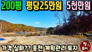 가격실화! 평당 25만원 5천만원 홍천 토지 급매물 건축가능 계획관리 토지 매매 싼 저렴한 전원주택 땅 소액 소형 전원주택 토지 세컨하우스 이동식주택 별장 땅 텃밭 주말주택 토지