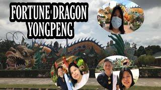 FORTUNE DRAGON AT  YONGPENG  JOHOR  I IRISH CHENG